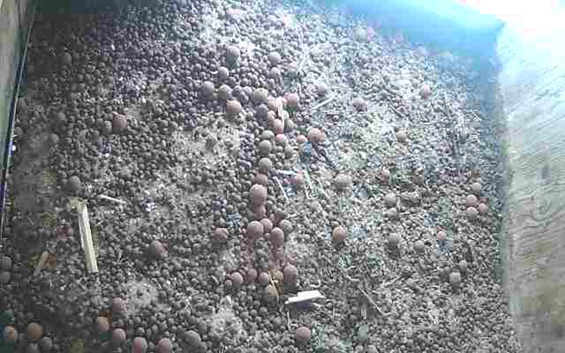 Der Kasten heruntergefahren