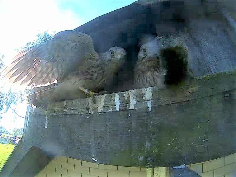 Hektik vor dem ersten Ausflug