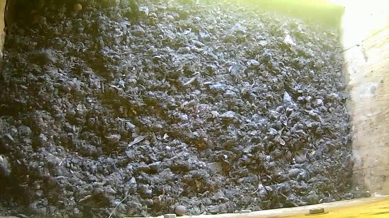 Alles ist wieder sauber in Kasten.