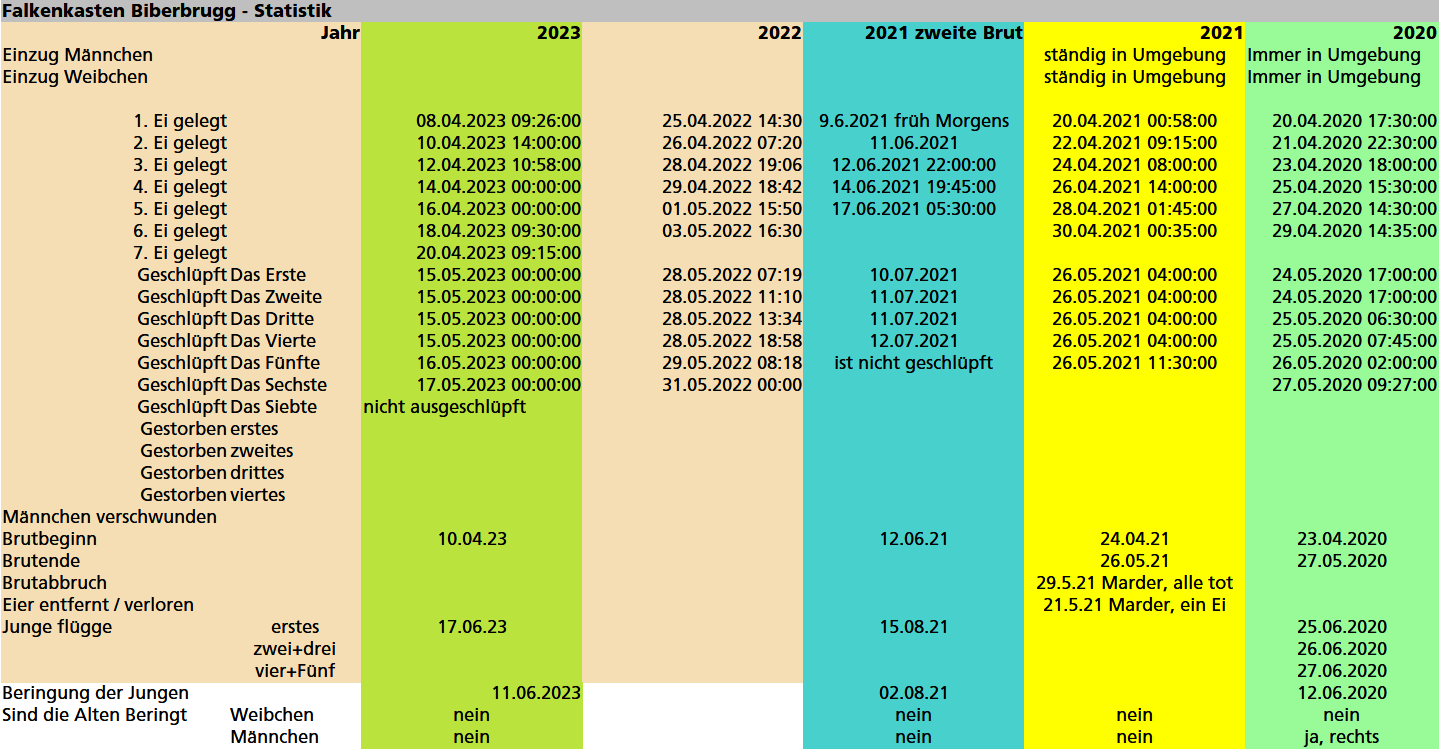 Die Tabelle Statisik
